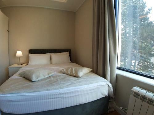 Centar Apartmani Zlatibor