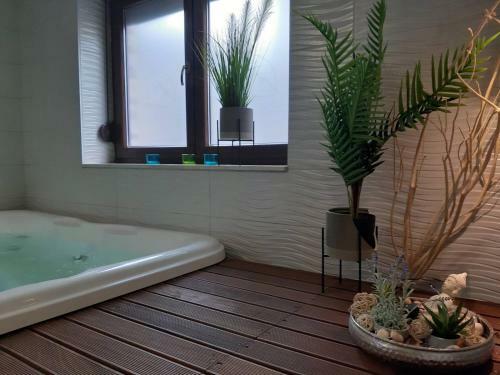 Apartamento Zlatibor Relax - Spa