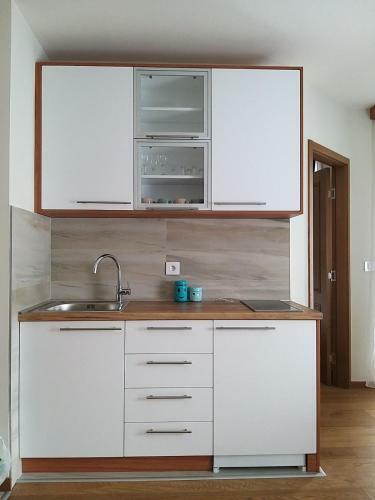 Apartman 307 U Vili Borova