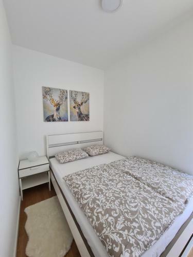 Apartman Arizanovi?