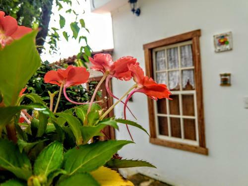 Hostal Pousadinha Vila Valentina