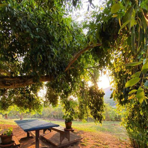 Apartamento Segredo Da Serra Guest House