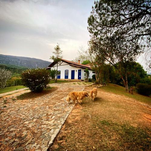 Apartamento Segredo Da Serra Guest House