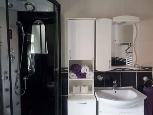 Zlatibor Apartmani Petrovic