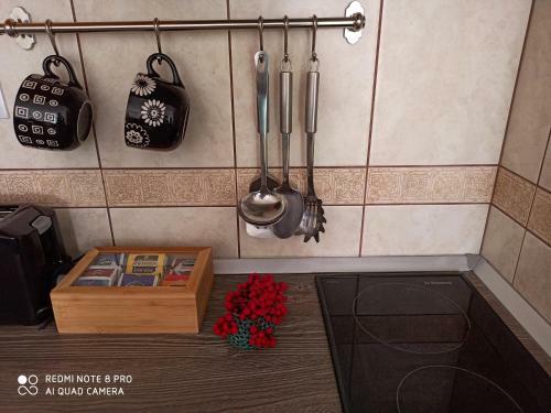 Apartamento Casa Di Sofija