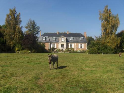 Bed & Breakfast Manoir D'hermos