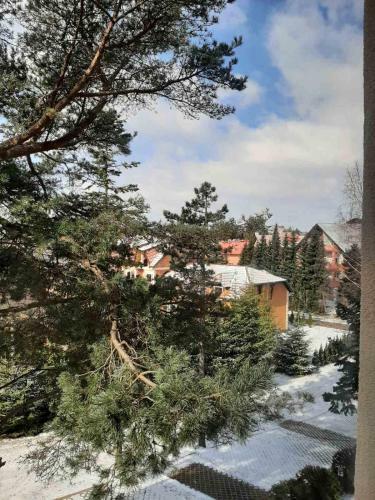 Apartman Star A Zlatibor