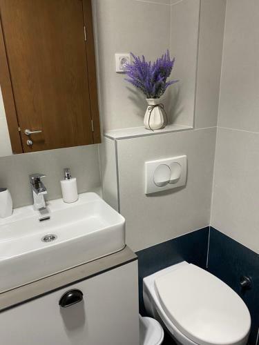 Apartman Petry