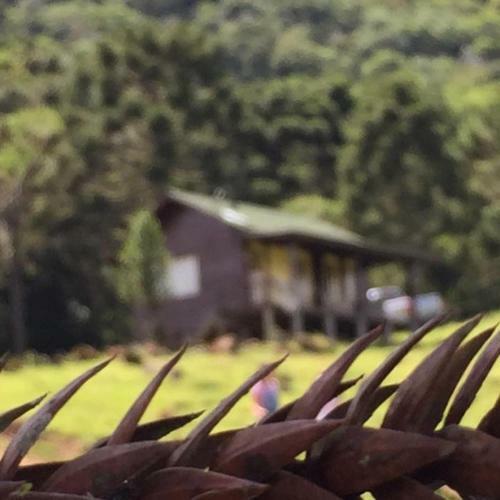 Lodge Cabana Monte - Pousada Colina Dos Ventos