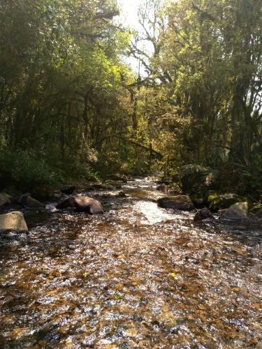 Chal� Est�ncia Cachoeira Do Avencal
