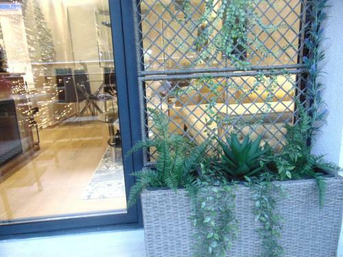 Apartman S33 Vila Pekovic Green