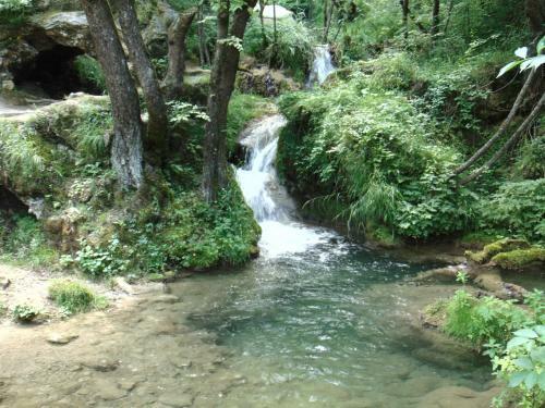 Apartman S33 Vila Pekovic Green