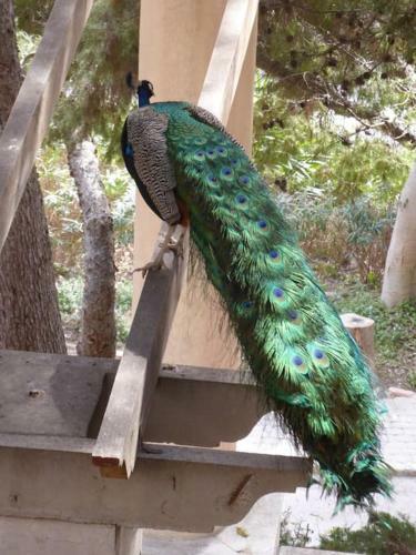 Maison R�nov�e � 250m De La Mer