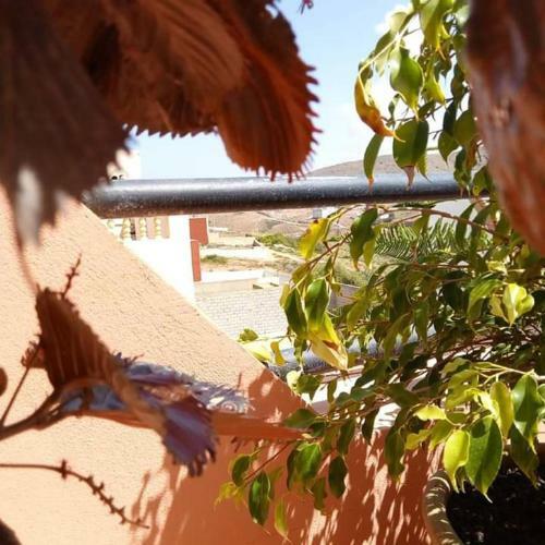 Hostal Itrane Guest House