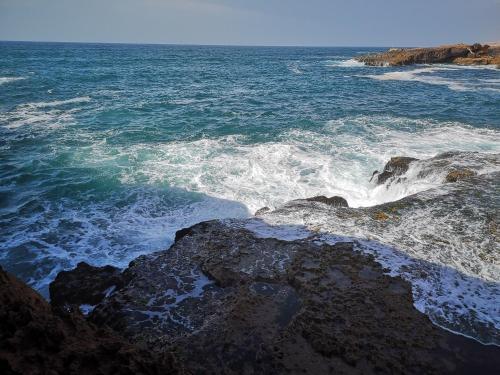 Apartamento My Home Mirelft