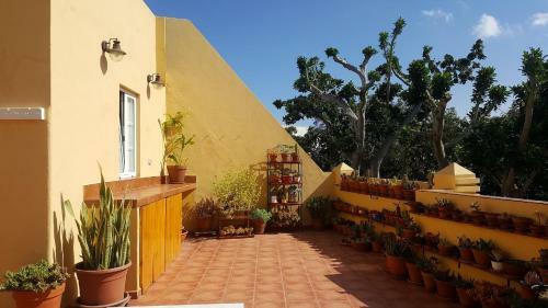 Apartamento �tico 70 Metros de Terraza