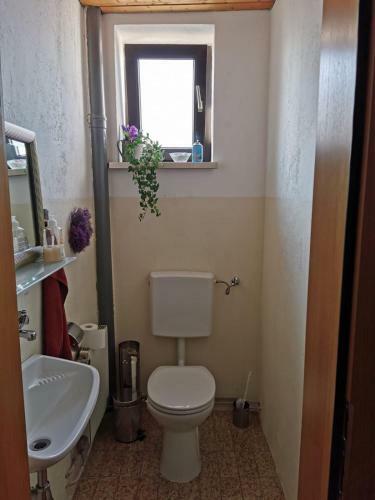 Danielas Privatzimmer