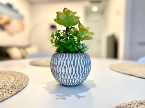 Apartmento En Ventura II