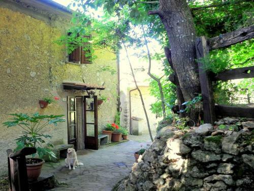 Lodge Holiday Home Stella Camaiore