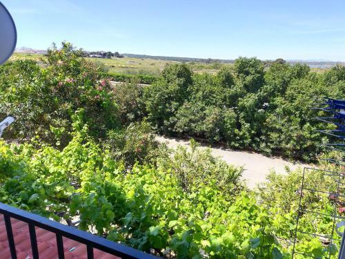 Apartamento Margo La Mata