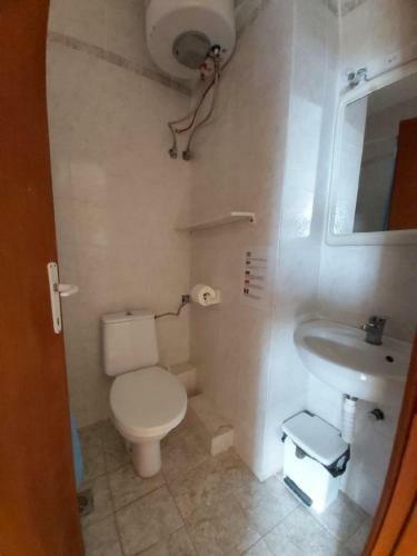 Apartamento Rodica Studios
