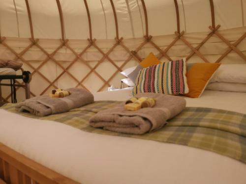 Syke Farm Campsite - Yurt's