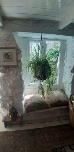 Cozy Carbence Cottage