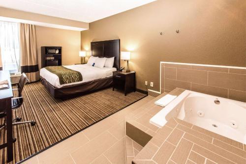 Hotel Comfort Inn Lehigh Valley West