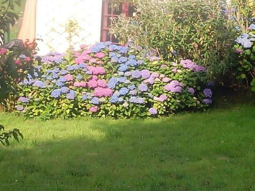 Hostal G�tes Ruraux Et Maison D'h�tes Saint Michel
