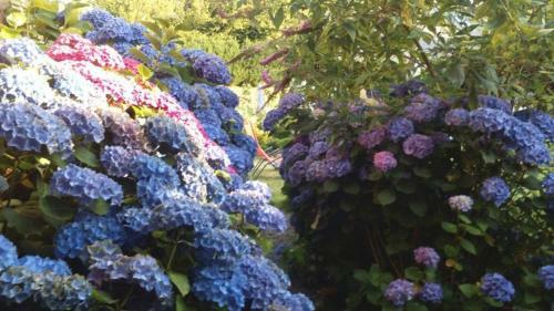 Hostal G�tes Ruraux Et Maison D'h�tes Saint Michel