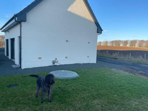 Remarkable 1-bed Apartment In Cowdenbeath Uk
