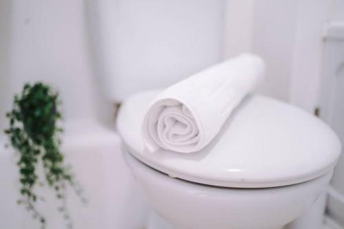 Paladine Place Serviced Apartment Coventry