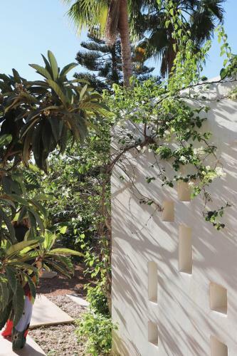 Albergue La Pandilla Ibiza