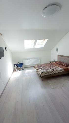 Apartament Buk