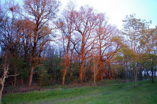 Bed & Breakfast Ranch De Boujac