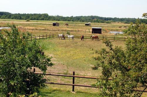 Bed & Breakfast Ranch De Boujac
