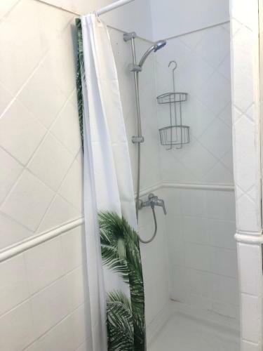 Primavera Holiday Apartment