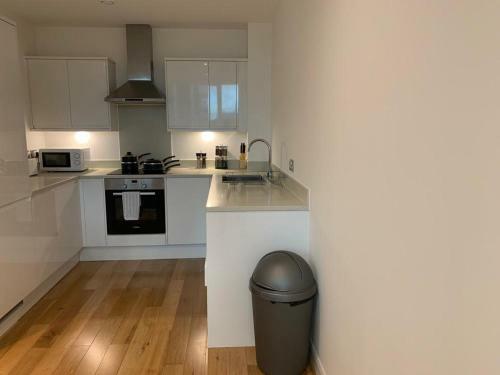 Modern 2 Bed 2 Bath Apartment In Central Croydon!