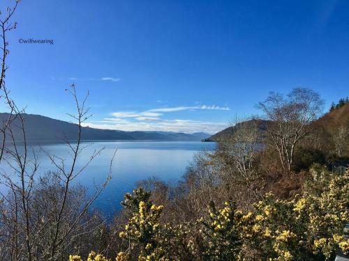 Forest View Caravan At Rose Cottage - Adults Only - Maximum 2 Guests