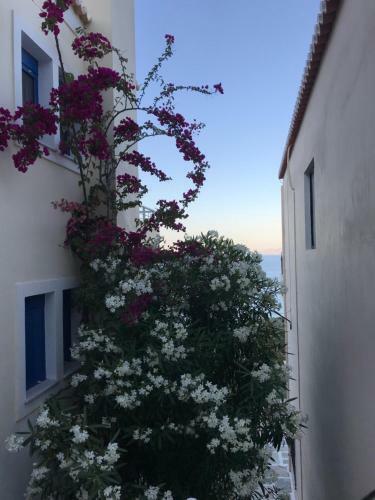 Apartamento Lovely Flat With Amazing View