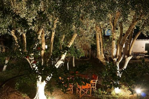 Agroturismo Two Olive Trees