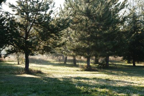 Bed & Breakfast Ch�teau De Grenier