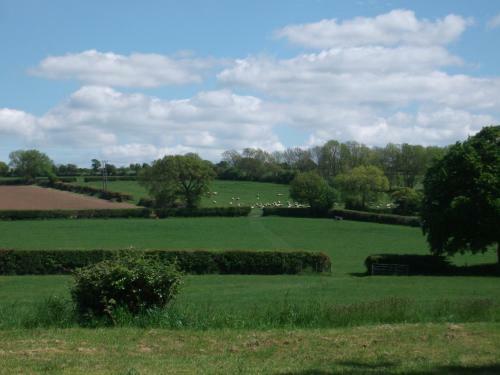 The Farmhouse