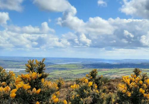 Summit Camping Field, Kit Hill Rd, Cornwall Bring A Tent Stunning Views