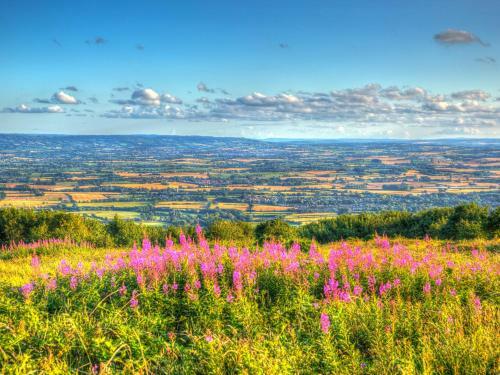 The Linhay
