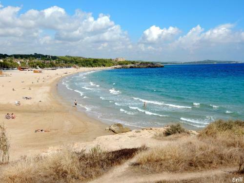 Apartamento �tico Con Terraza Centro de Tarragona, Mi Refugio