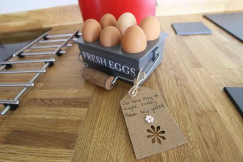 Springwood Shepherd Huts Glamping York