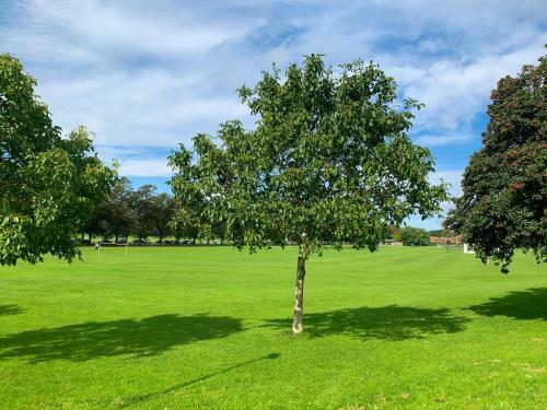York Racecourse Retreat - Free Parking - Peaceful Green Space