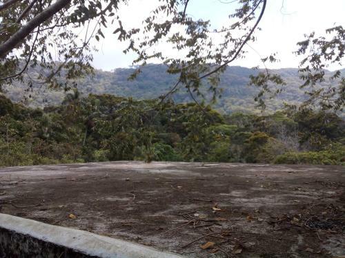 Lodge Rainforest Yoga Holiday