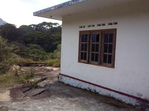 Lodge Rainforest Yoga Holiday